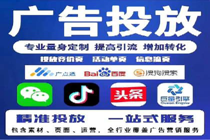 百度优化推广案例：打造行业领先品牌